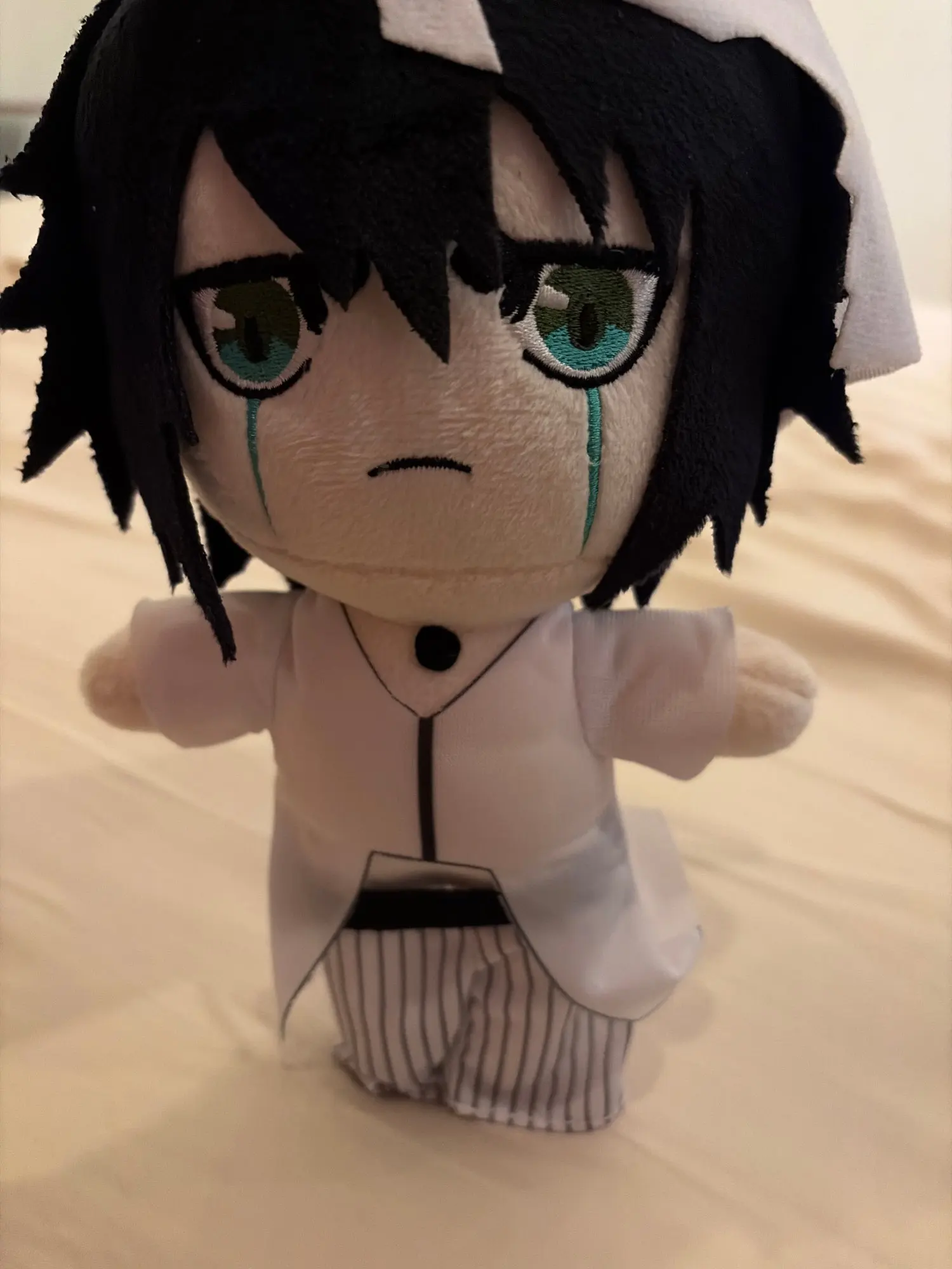 Foto de un comprador: Peluche de Bleach de 20 cm para acompañar tu colección