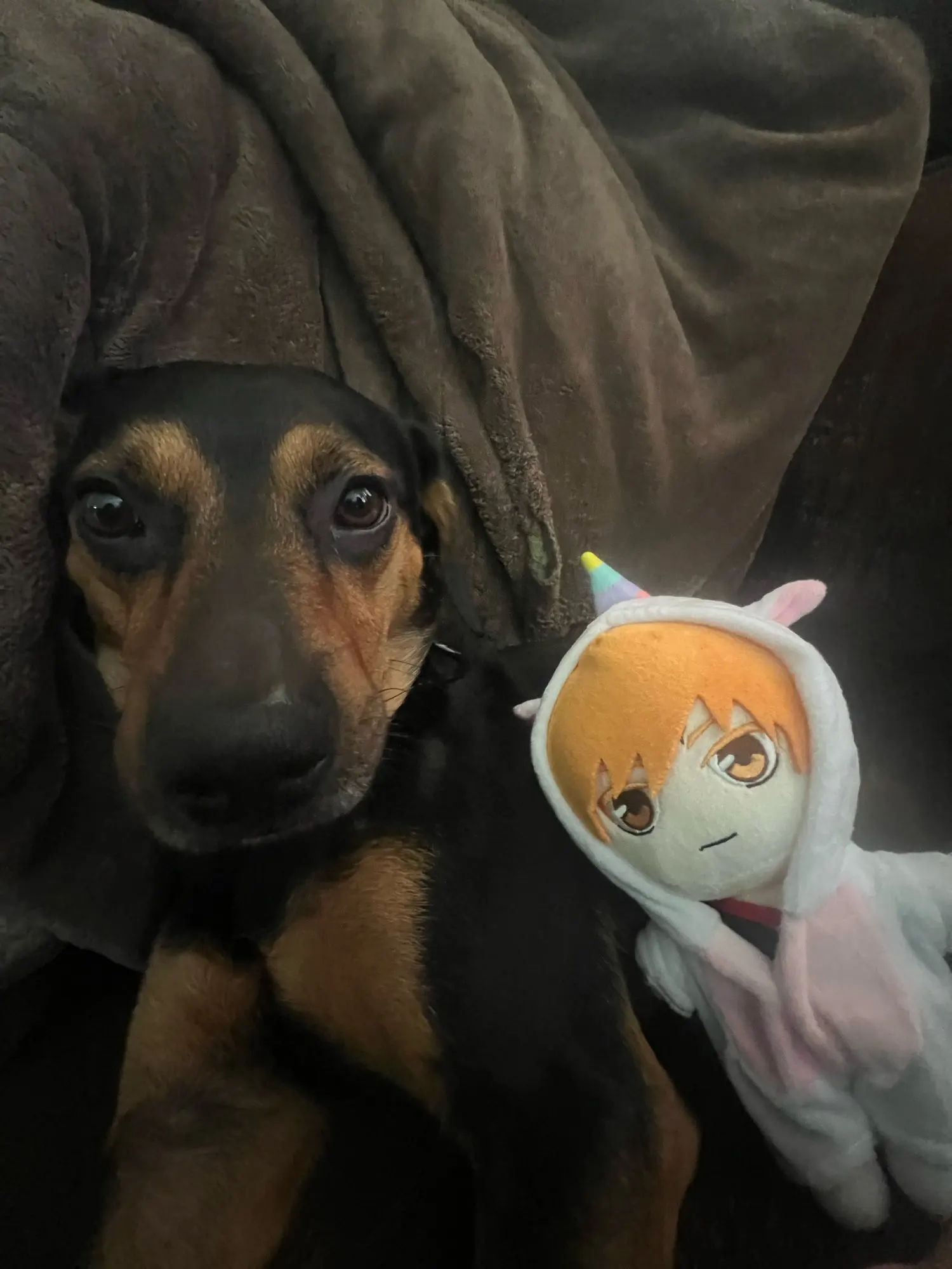Foto de un comprador: Peluche de Byakuya de Bleach de 20 cm para coleccionar