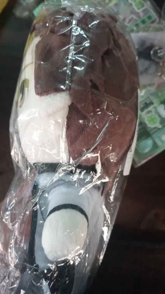 Foto de un comprador: Muñeco de peluche de Aizen o Zaraki de 20 cm
