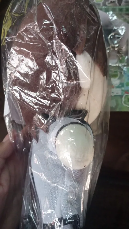 Foto de un comprador: Muñeco de peluche de Aizen o Zaraki de 20 cm