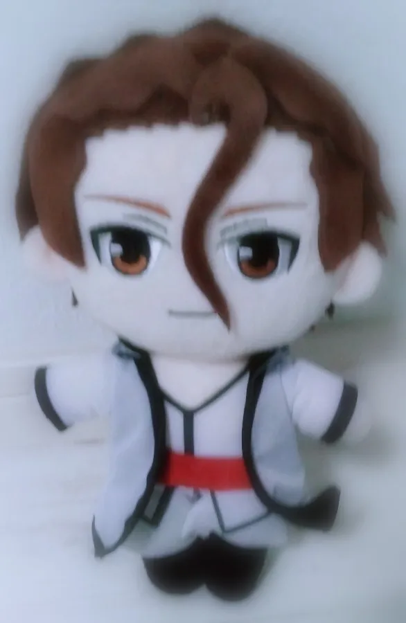 Foto de un comprador: Muñeco de peluche de Aizen o Zaraki de 20 cm
